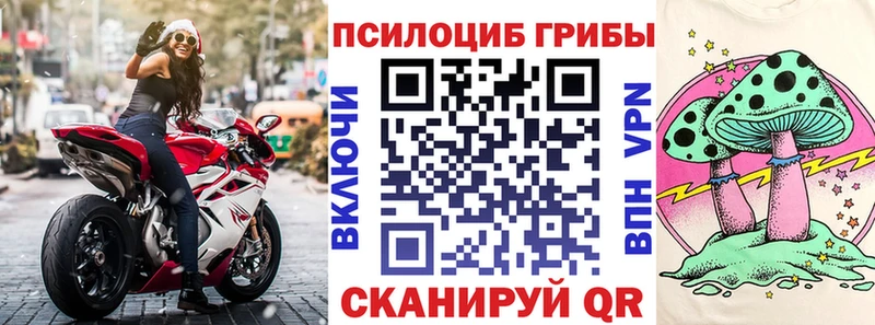 хочу   Магнитогорск  Галлюциногенные грибы ЛСД 